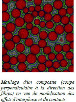 https://www.mat.minesparis.psl.eu/wp-content/uploads/2021/08/2531-fig_proc_ass-300x400.jpg